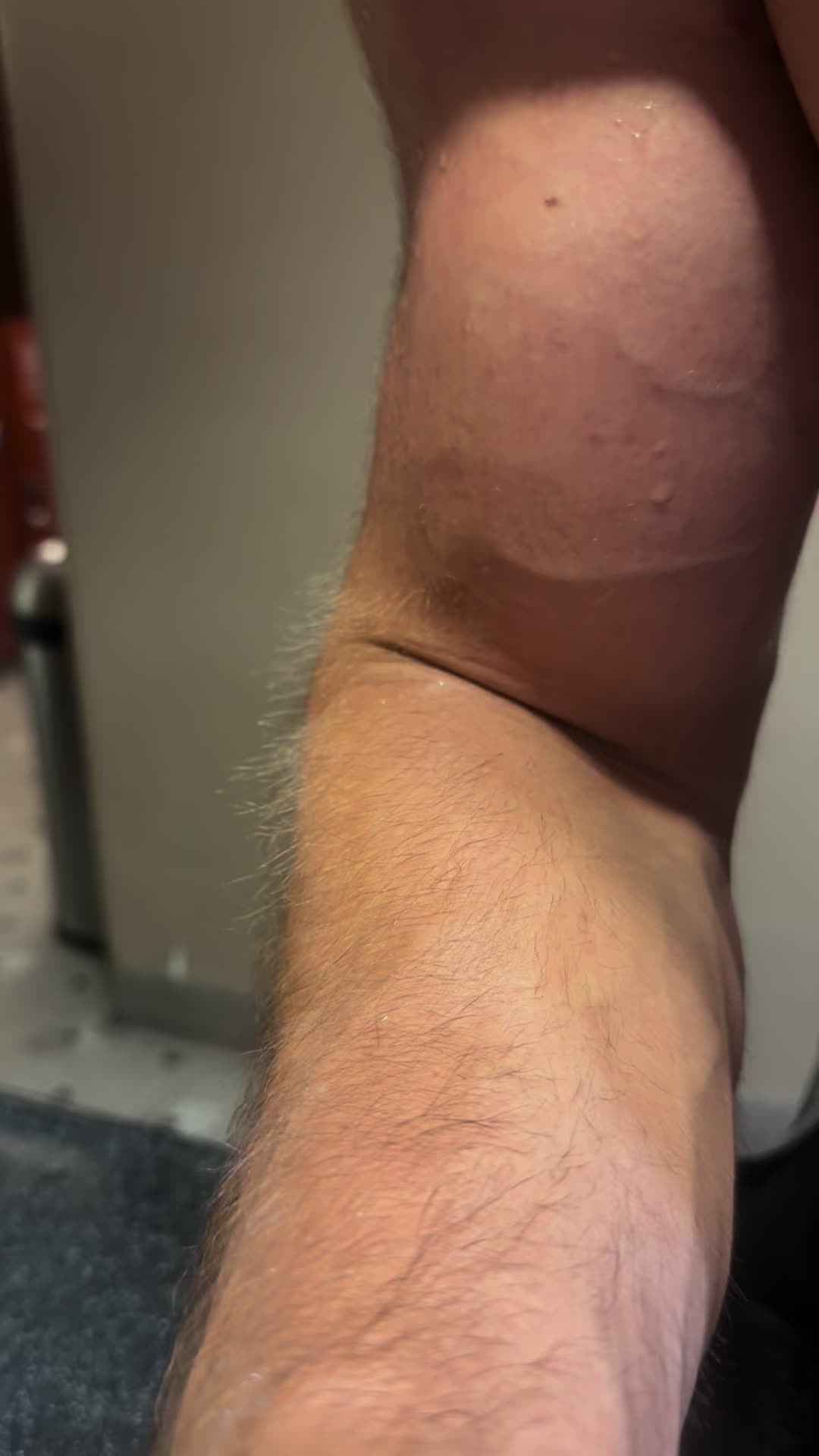 @shanelane.trains