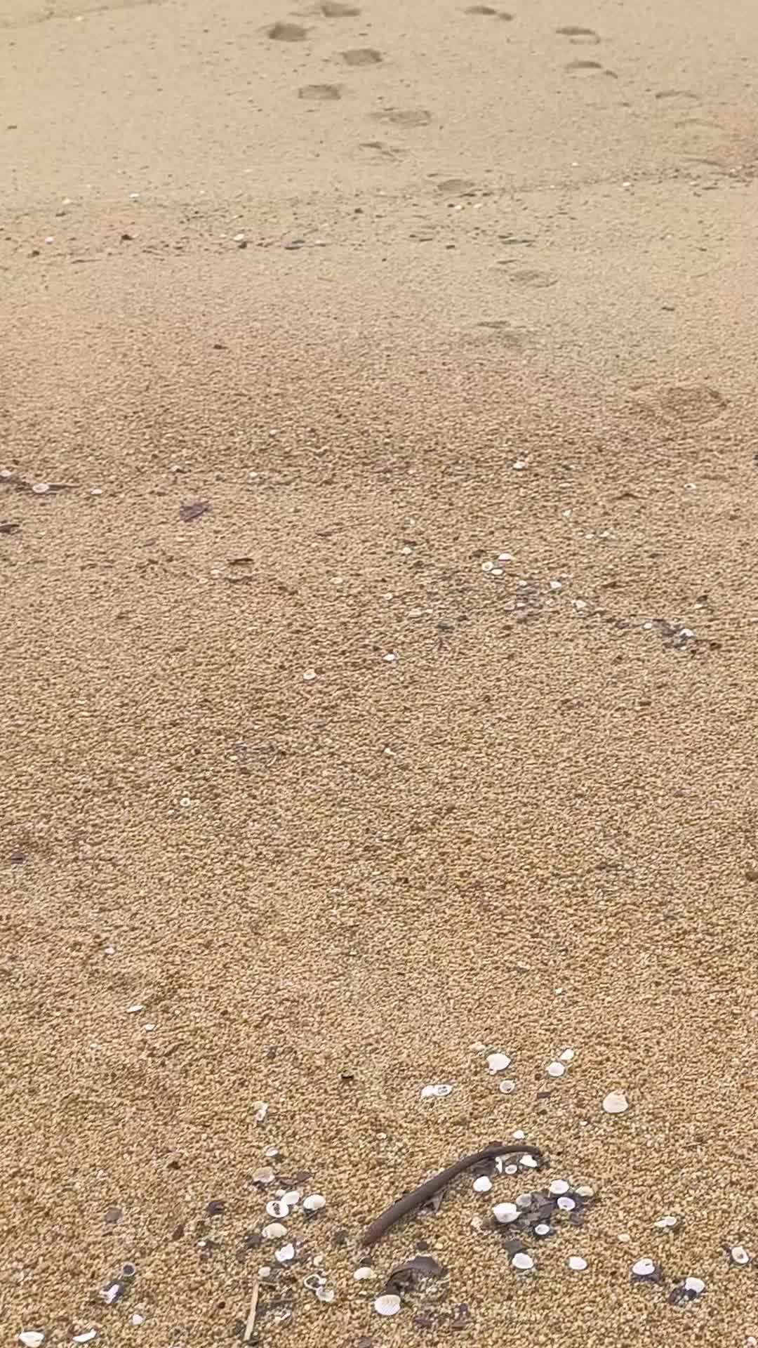 @🤍🍉اختي ياني🍉