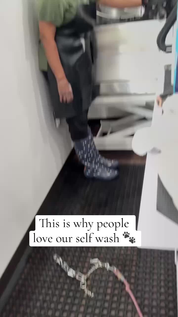 @dogwashla