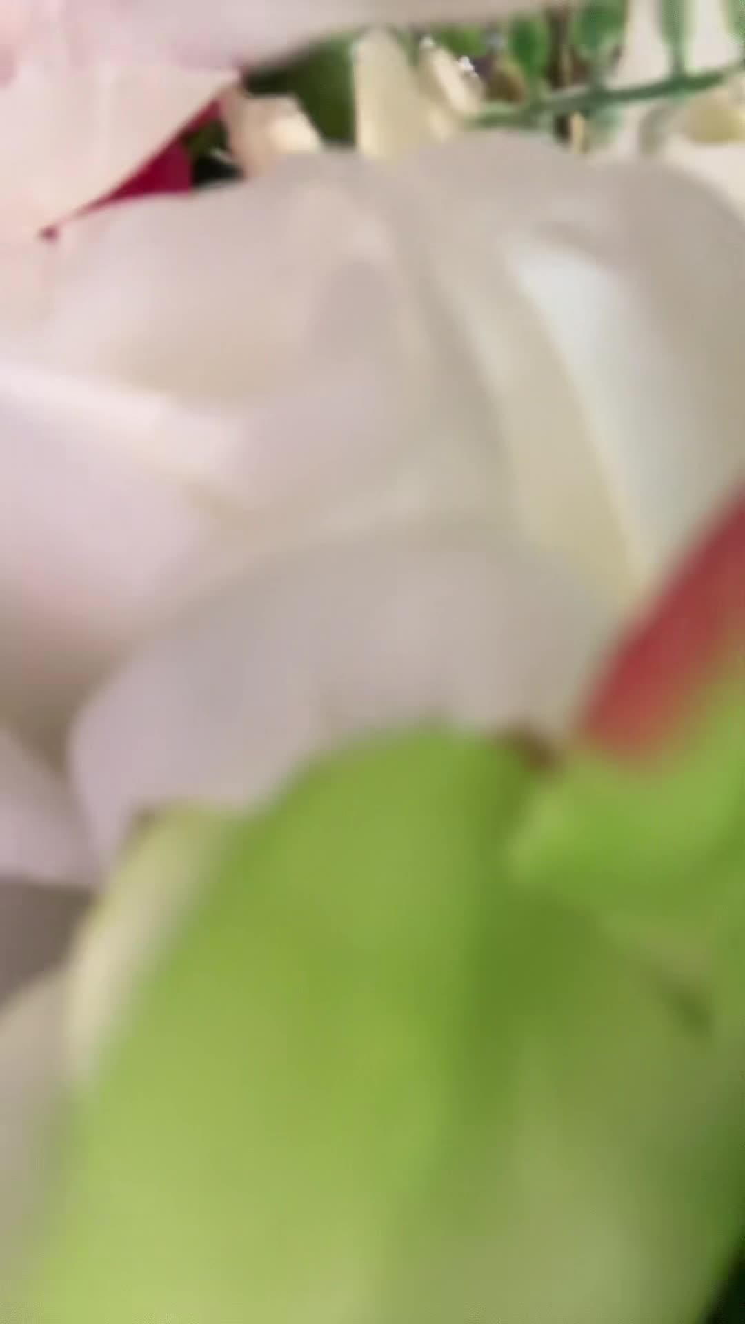 @vivienne