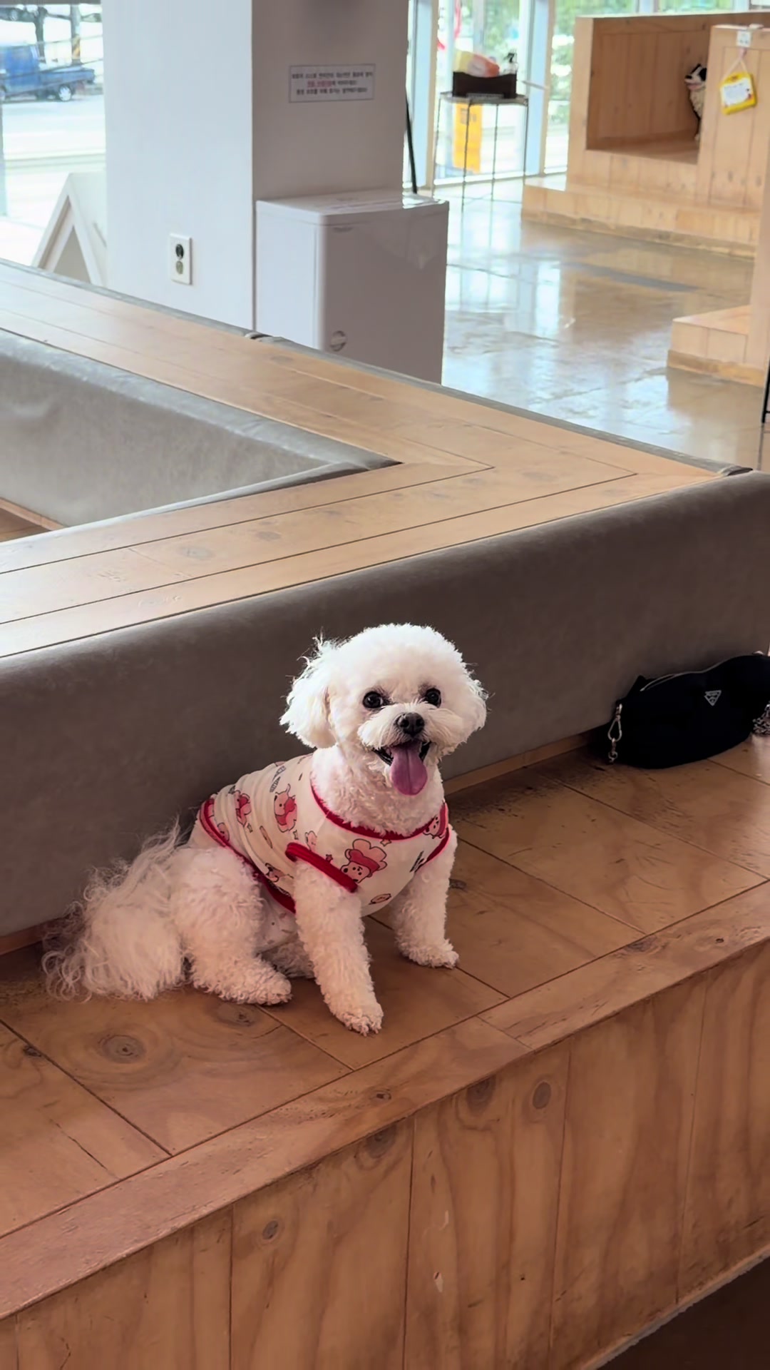 @짜원인데 뭐