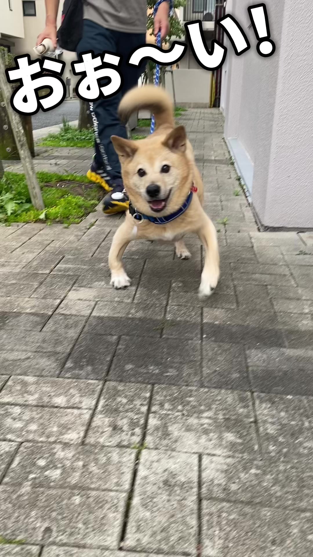 @てる