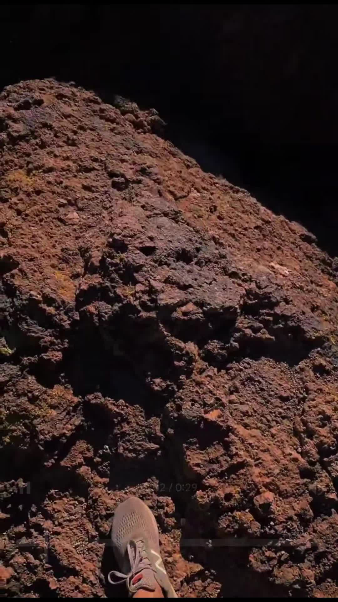 @🌵