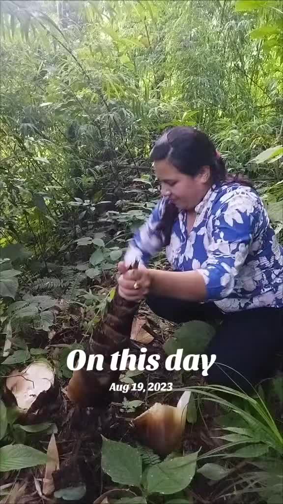 @bhumika