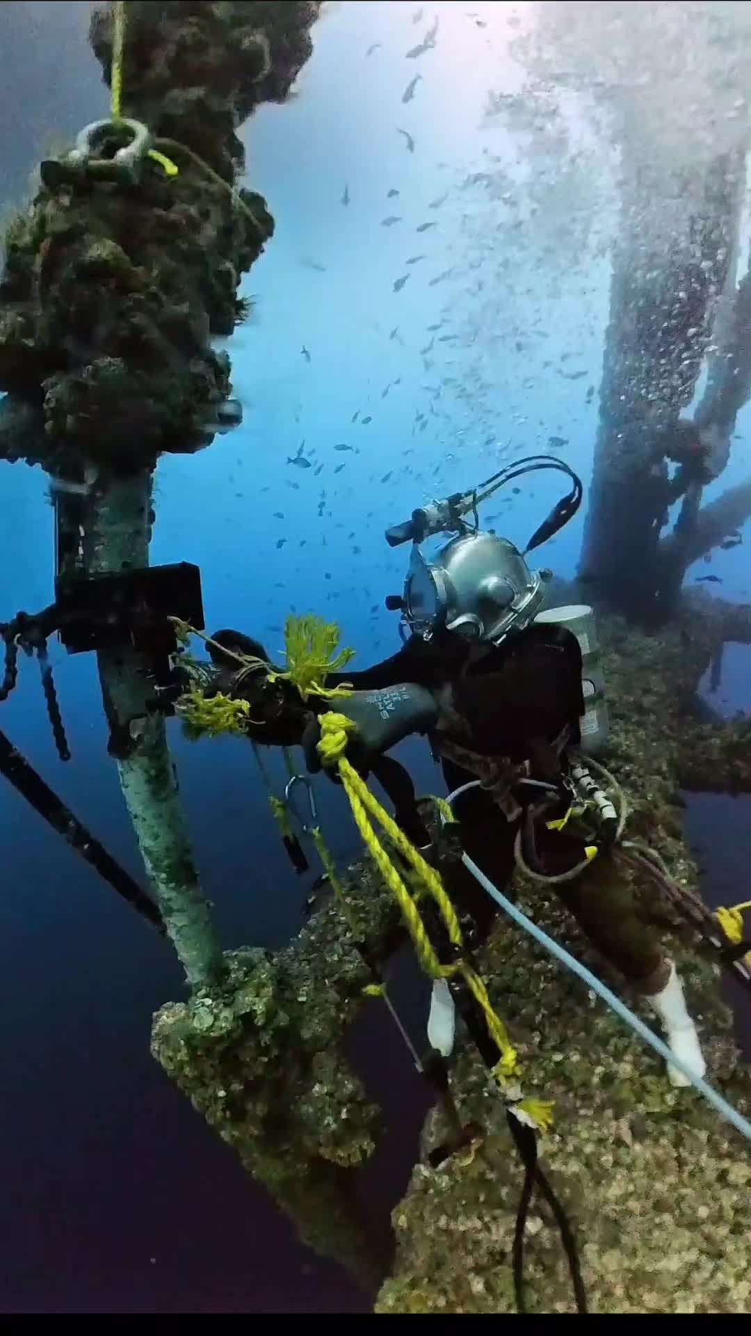 @DeepSeaAf