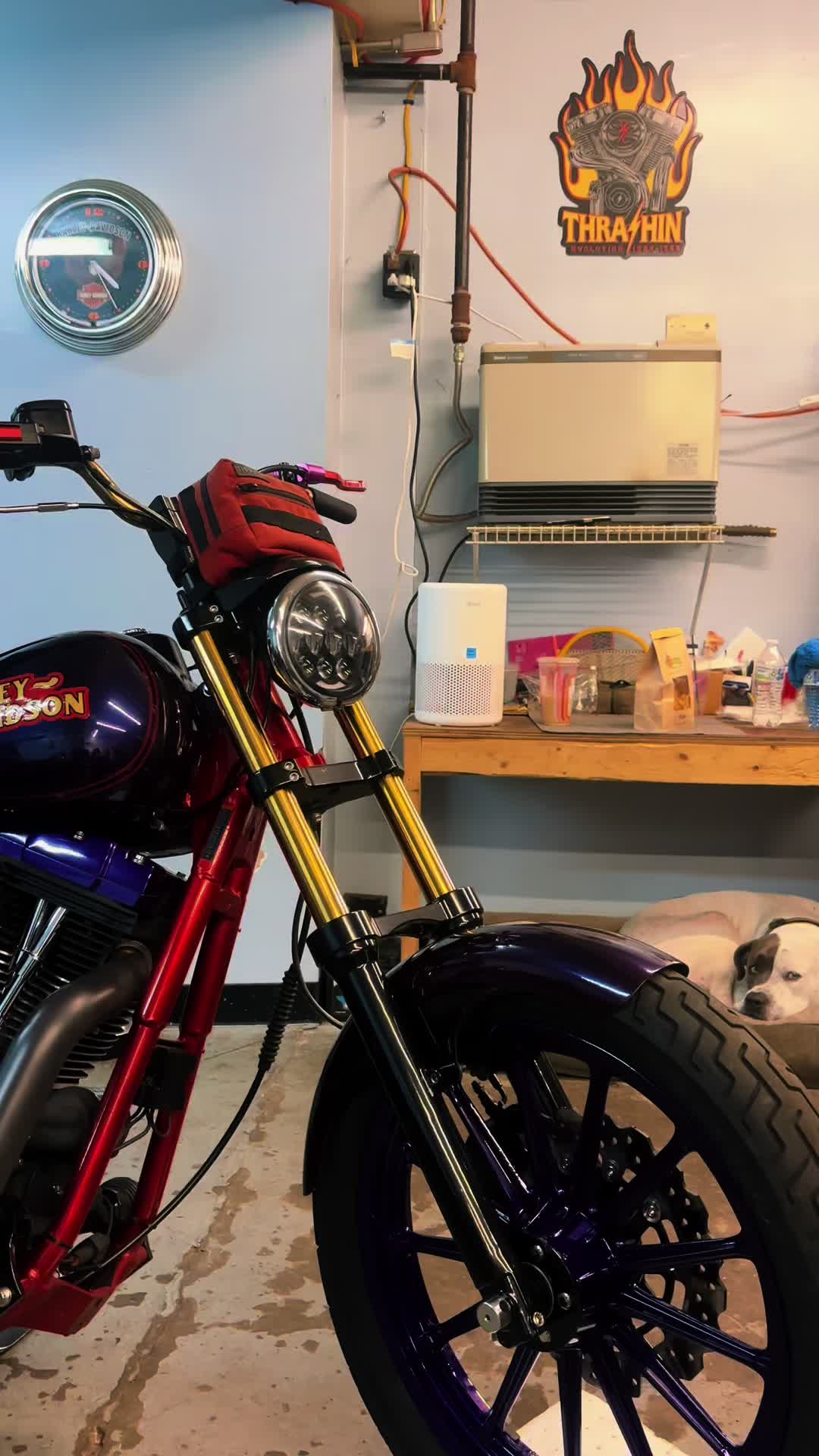 @Steelhorsestuntz
