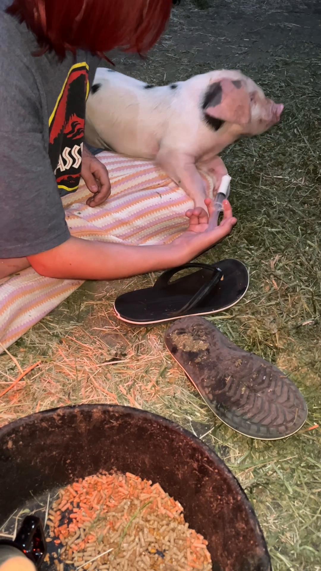 @Ms. Pissyfeet