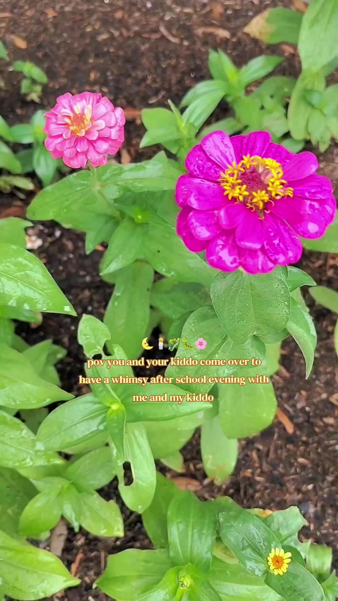 @Mikyla