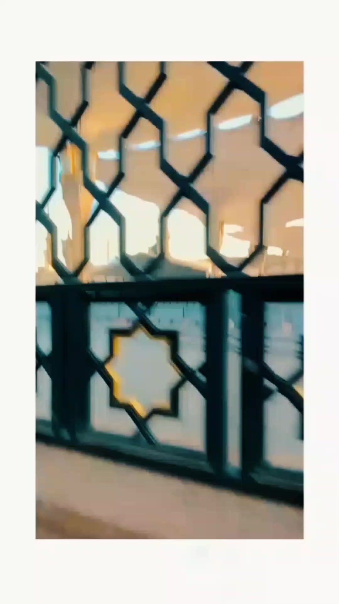 @محمد شفیق