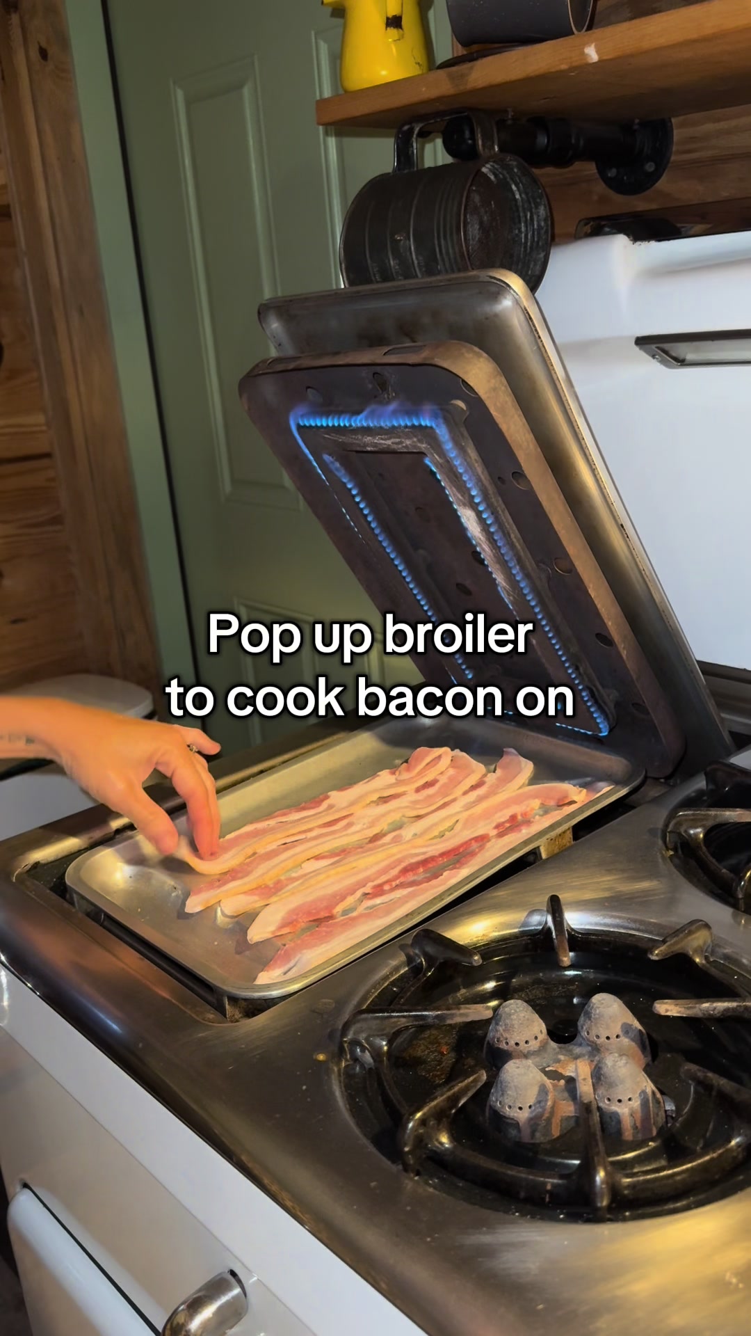@Tina Cooks