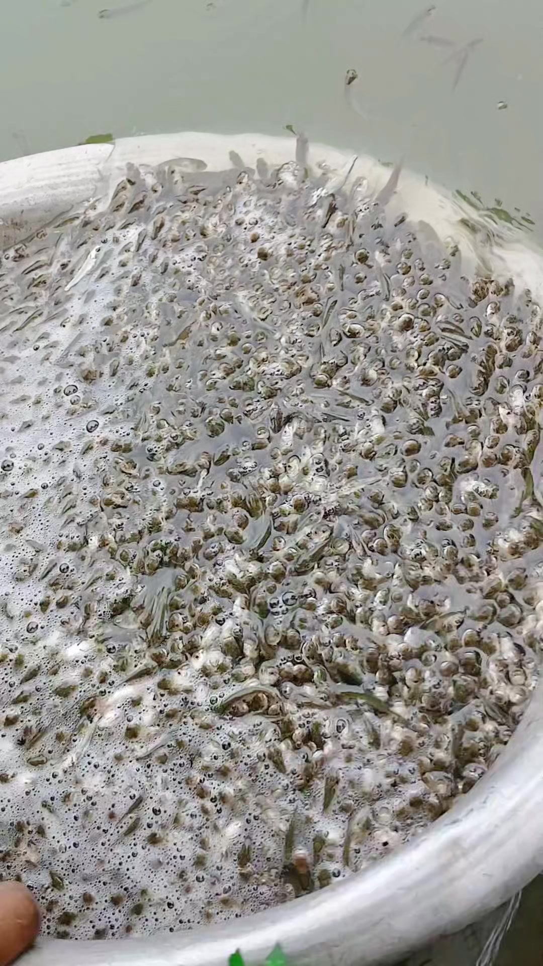 @সুজন মিয়া