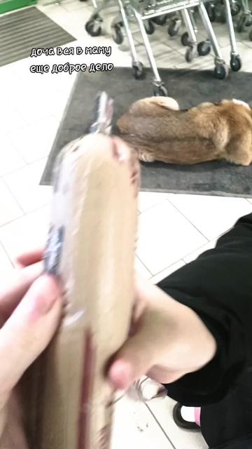 @𝒁𝒍𝒂𝒚𝒂 𝑴𝒊𝒍𝒇𝒂