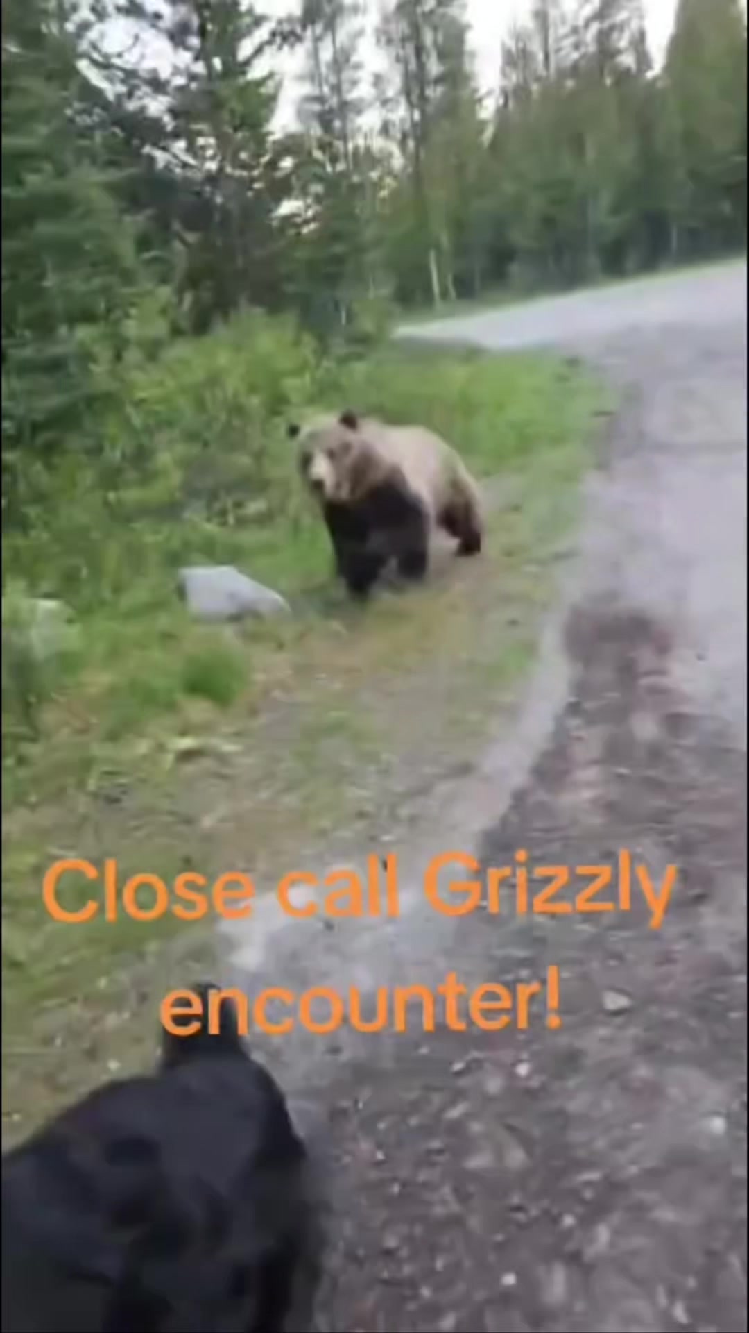 @CreaturePreacher