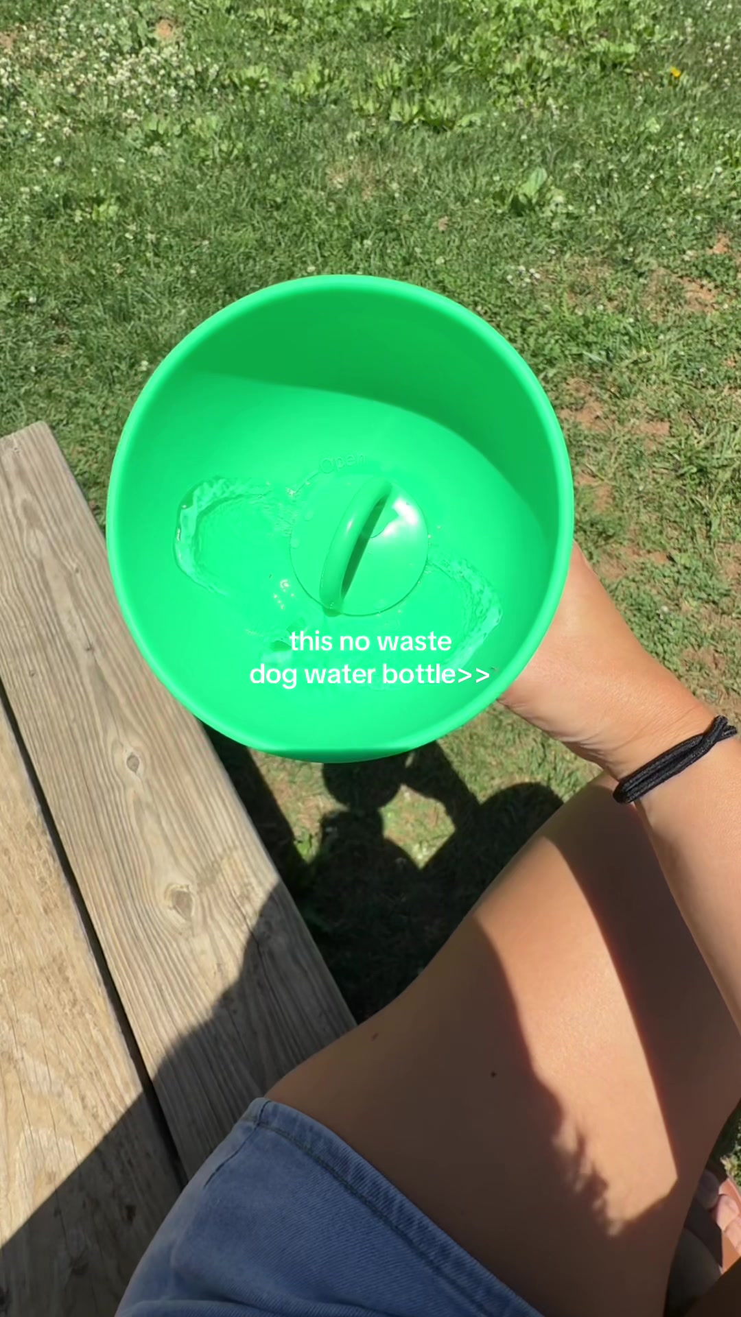 @Josi B🦮