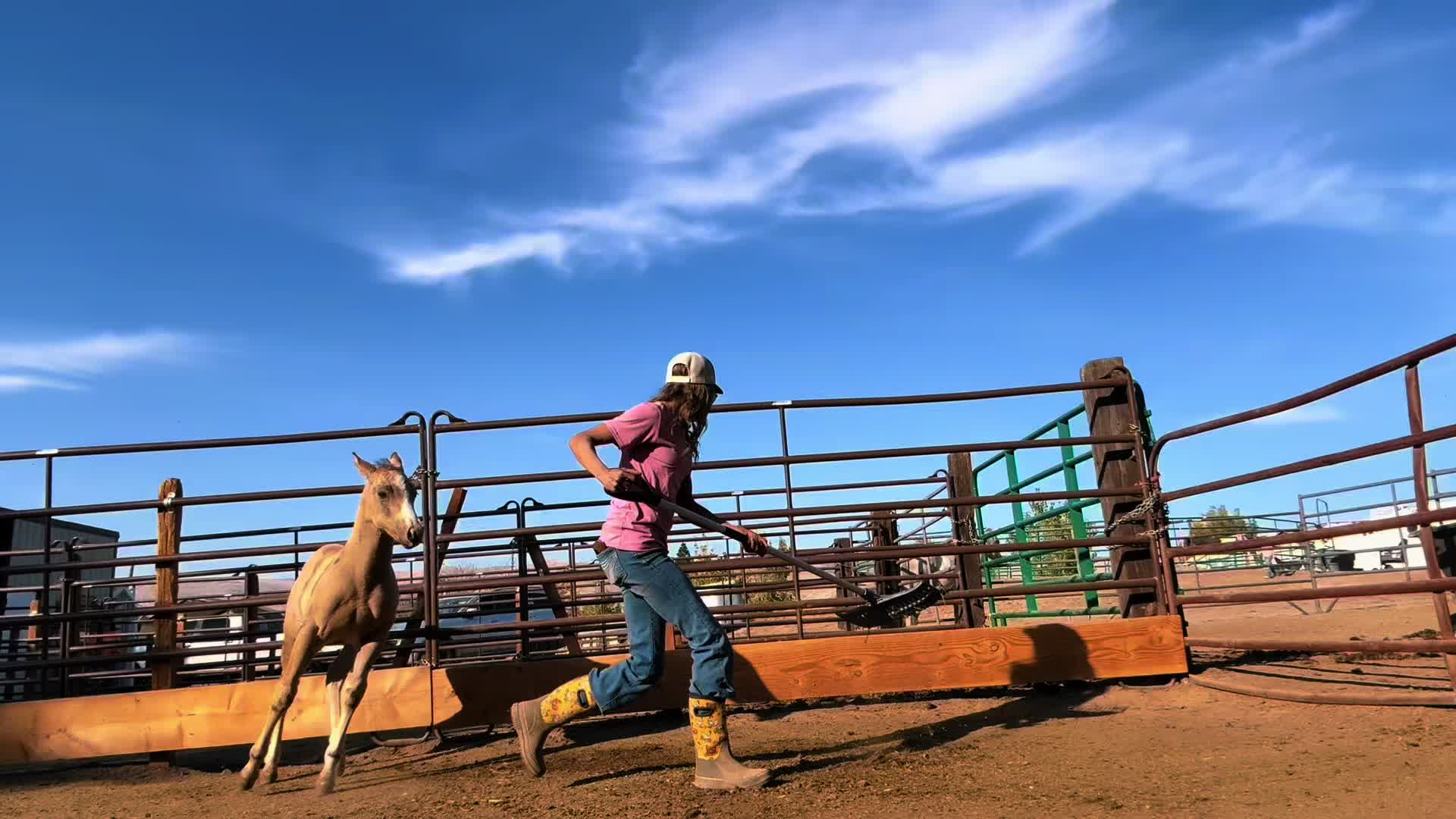 @Cowgirl Tuff Colt Training ❤️