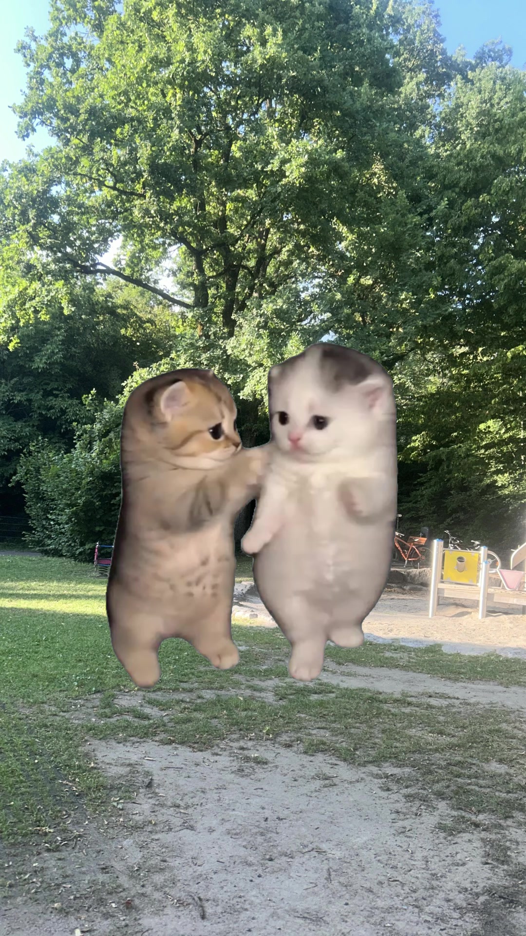 @🎀🪩