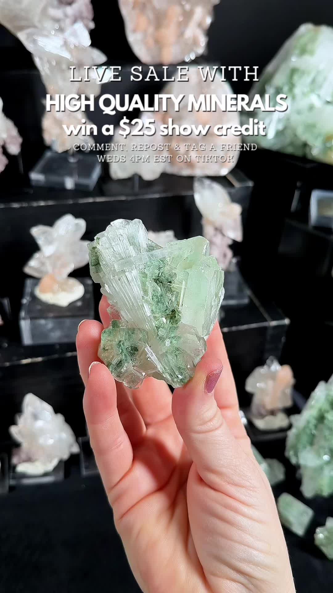 @Crystal Live Emporium✨Natalie