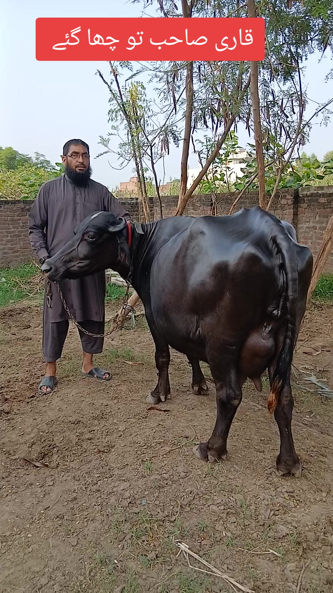@Farming and Business Ideas