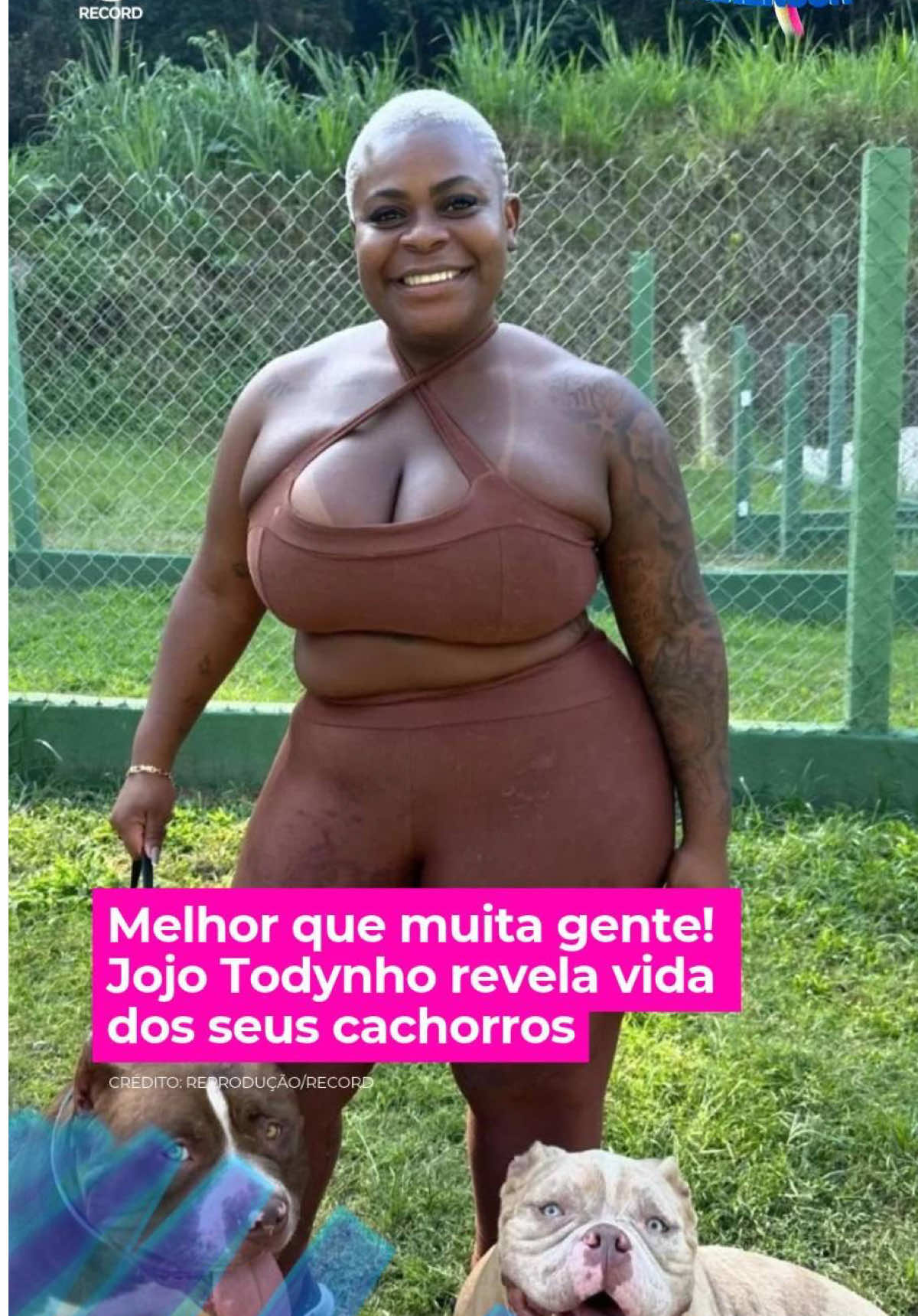 @A Hora da Venenosa