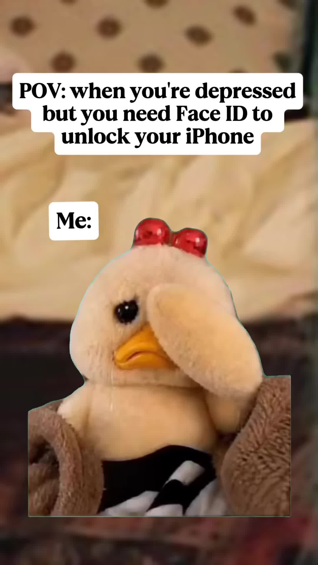 @🫶🏼𝕂𝕚𝕂𝕚🫶🏼