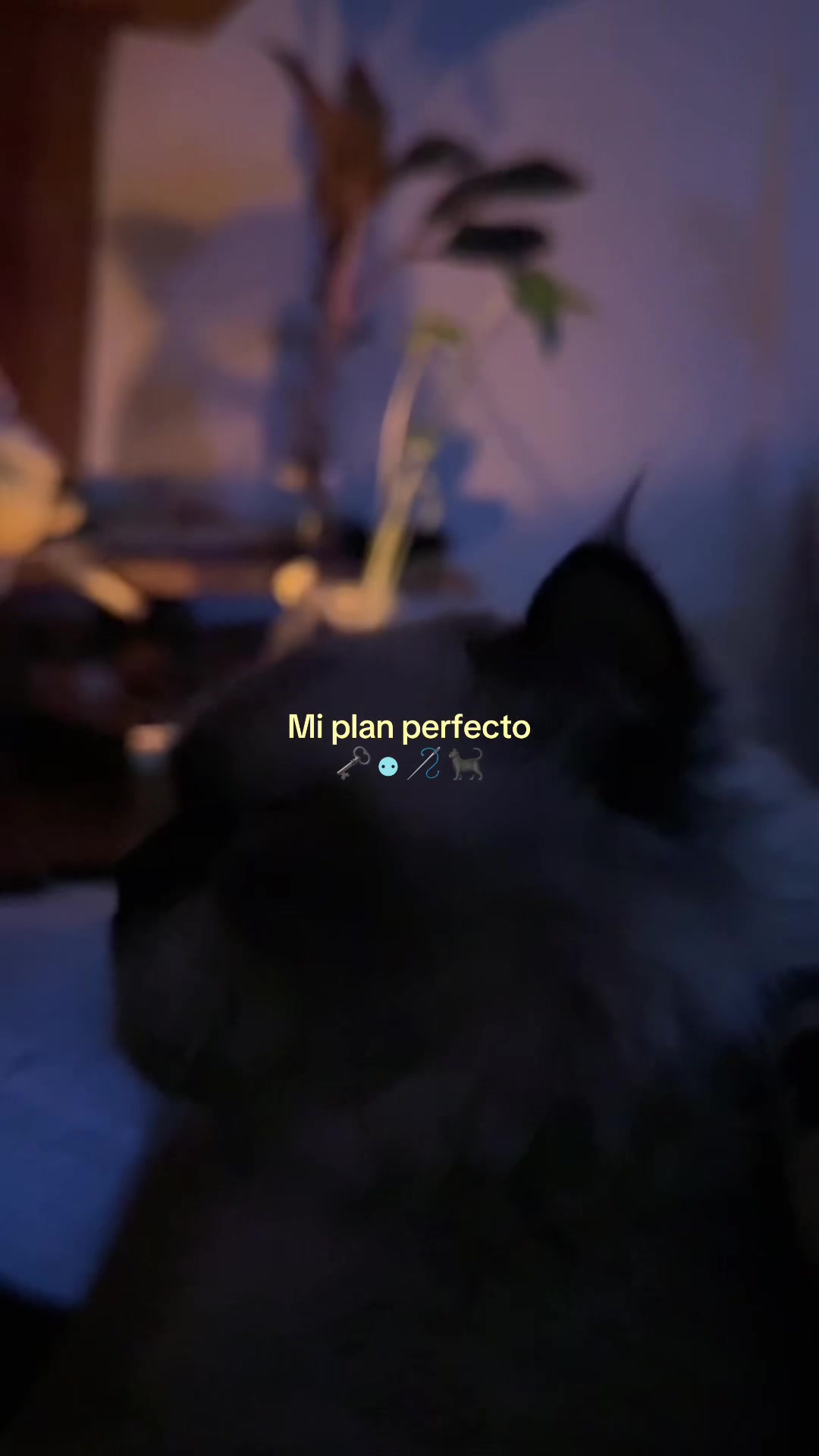 @Arlene ✮