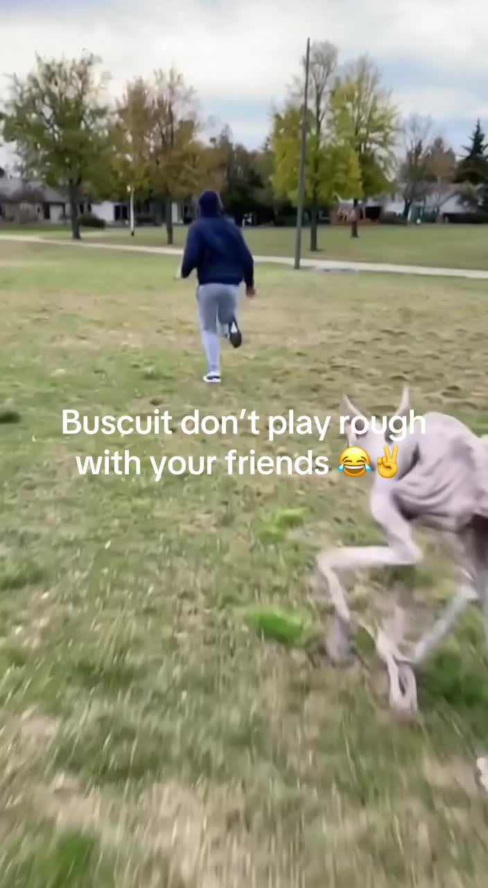 @Zisc