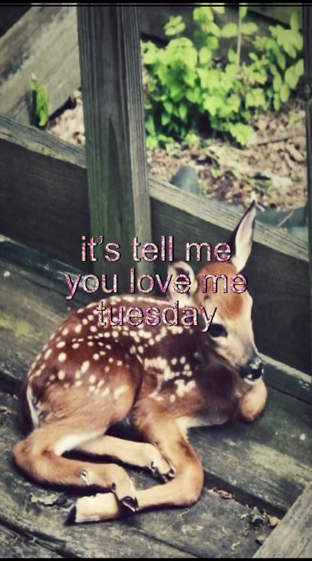 @livinlikedis