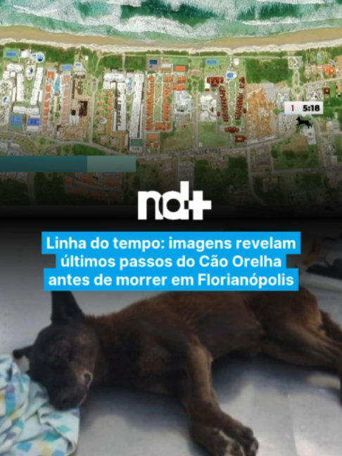 @portalndmais