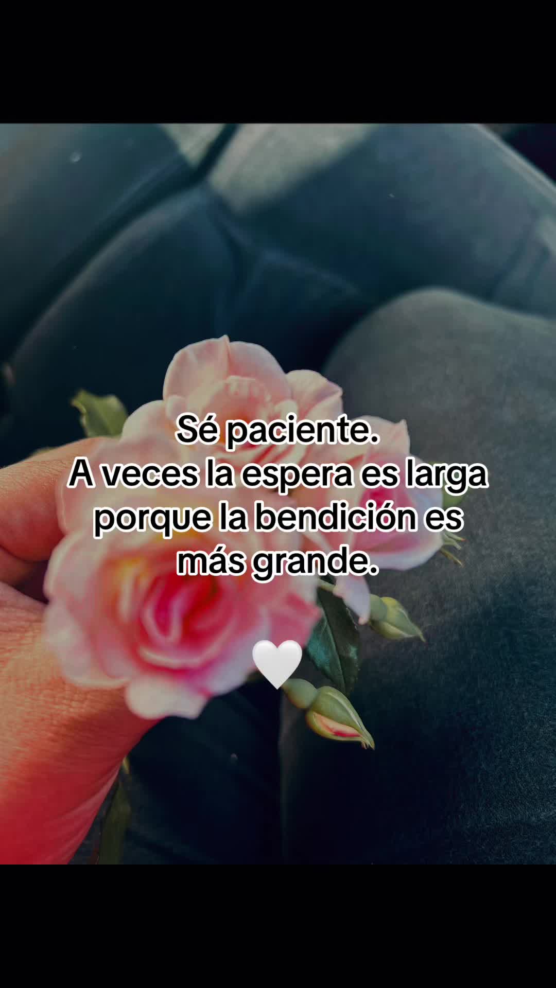 @Solitaria502🥀❤️🥀