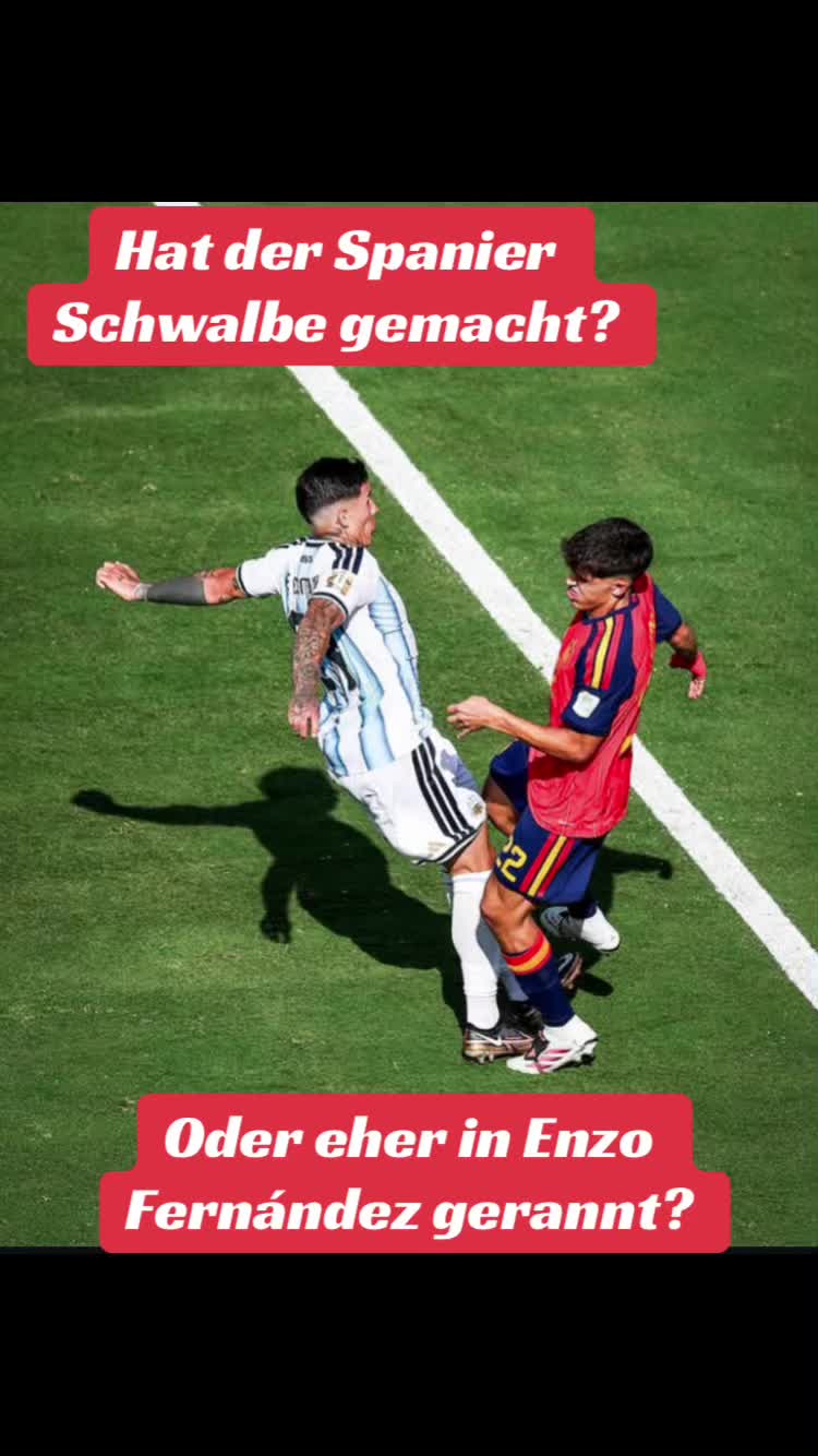 @vizekanzlerderherzen
