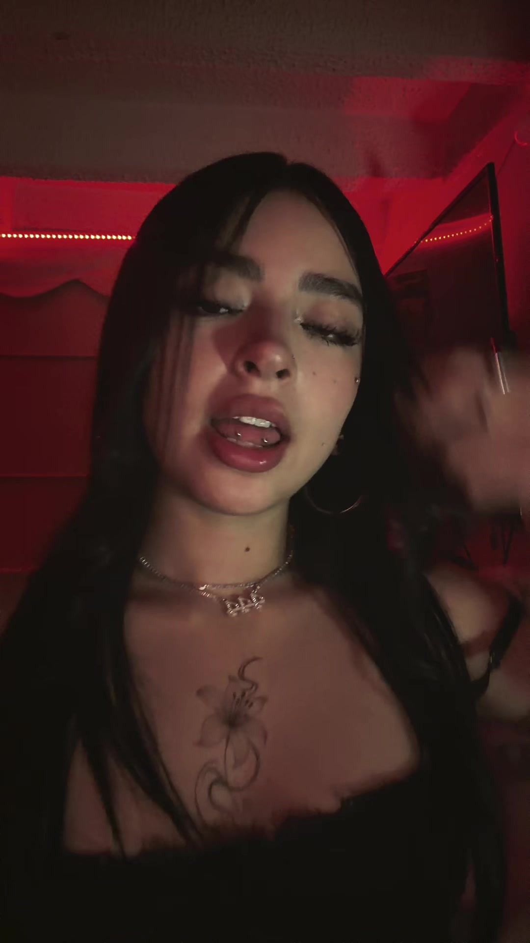 @Sofi 🐹