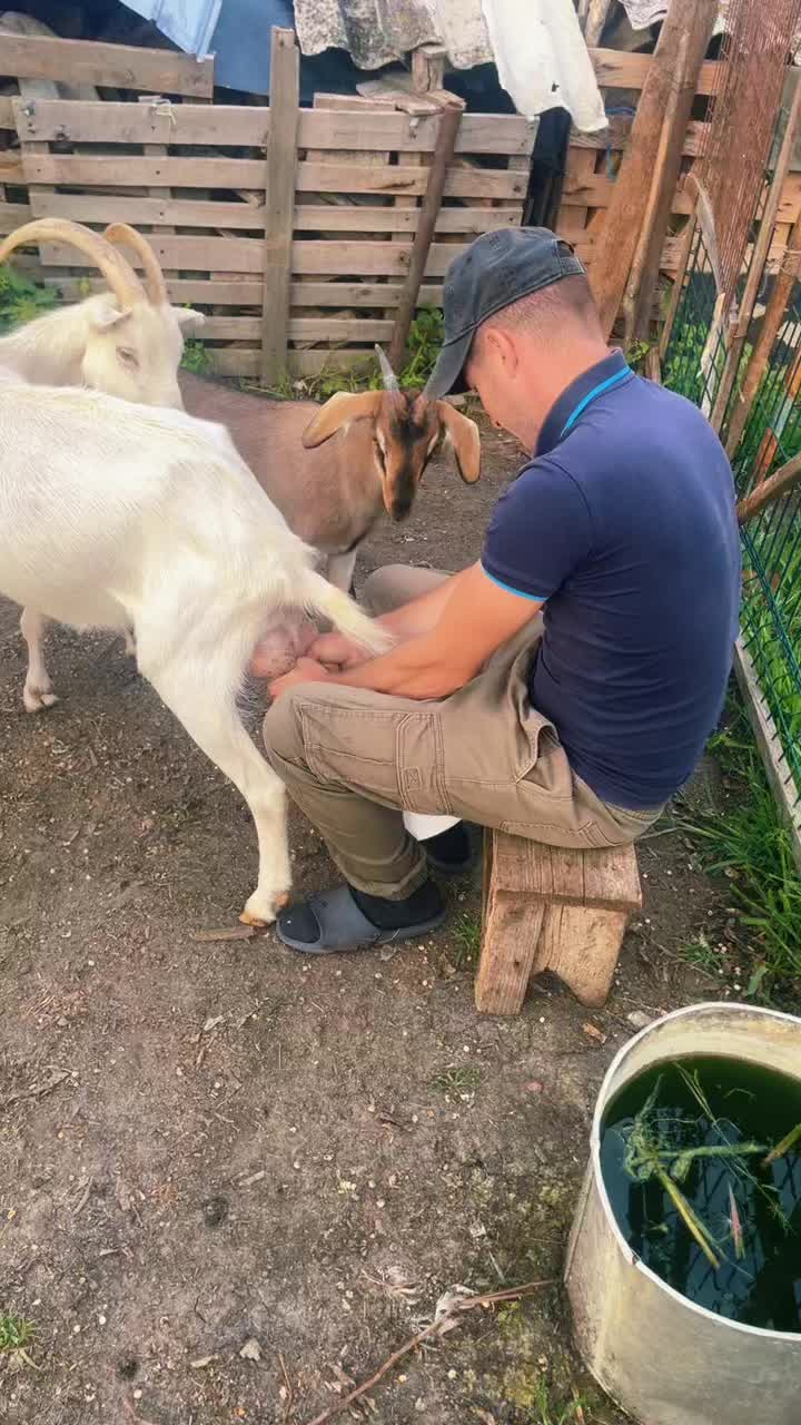 @Radu Popa