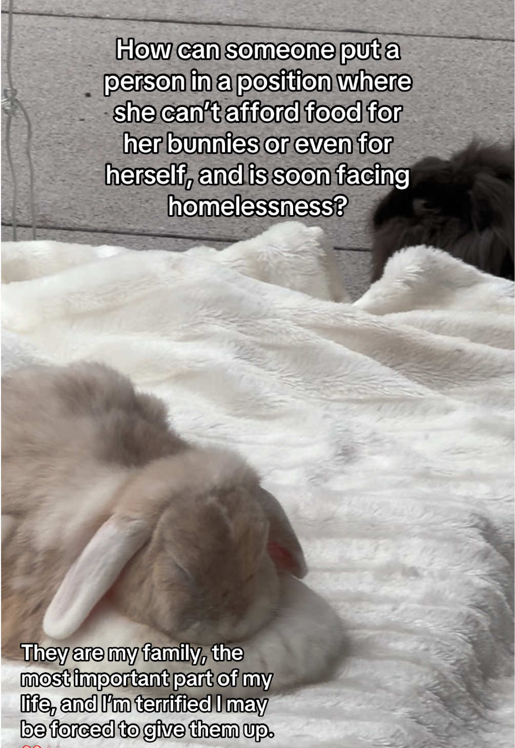 @Buns 🐰🐰