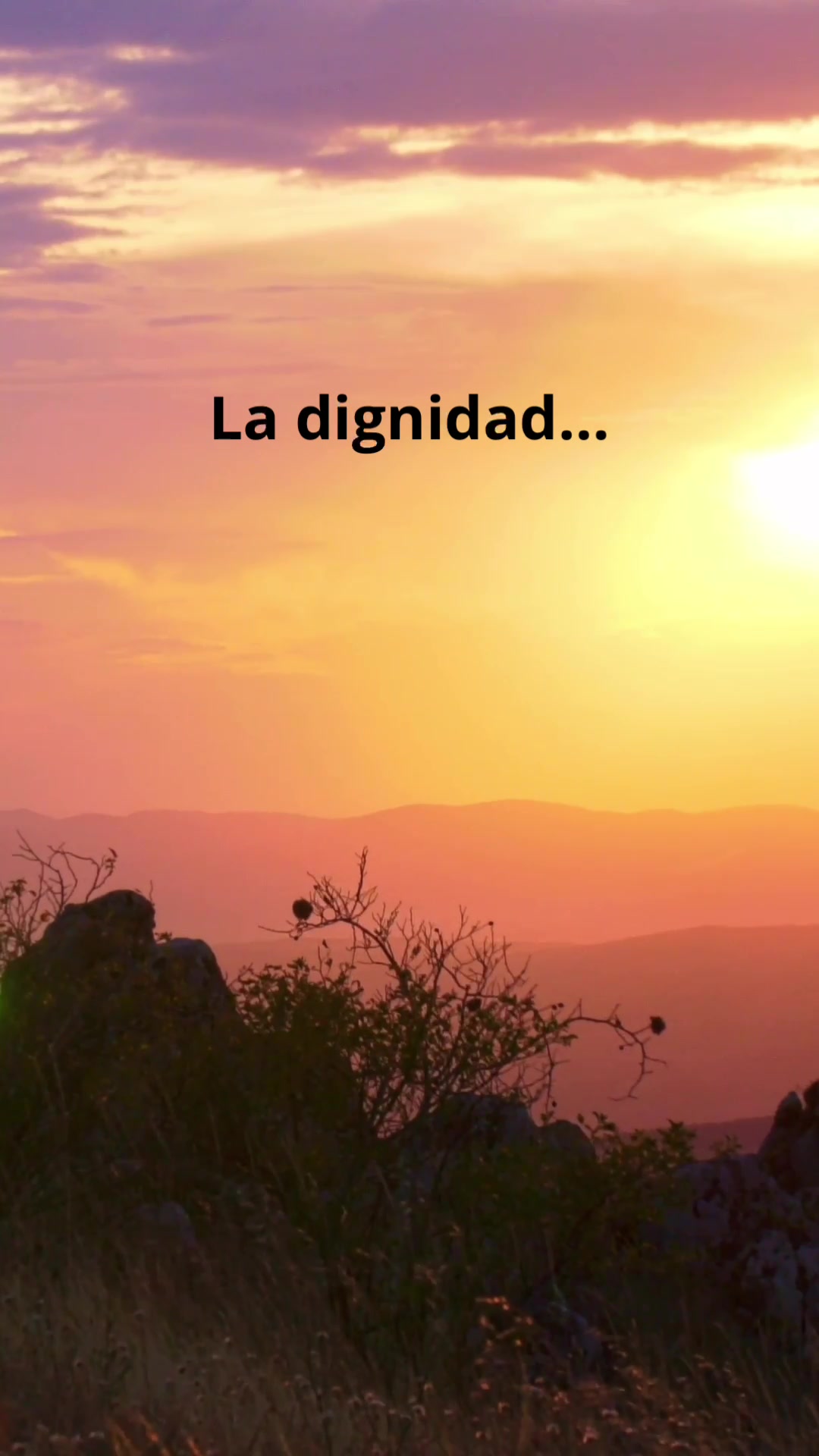 @Misi&oacute;n Dymphna