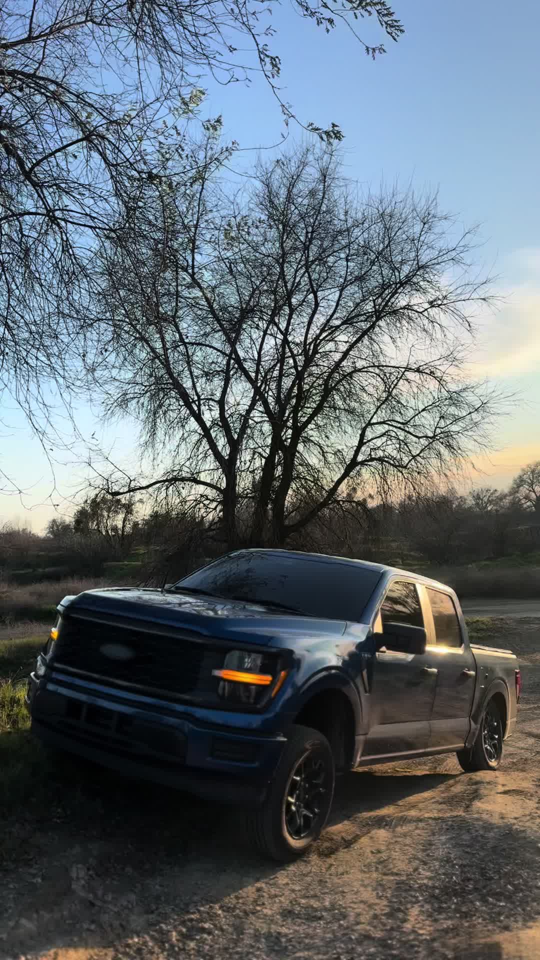@™️