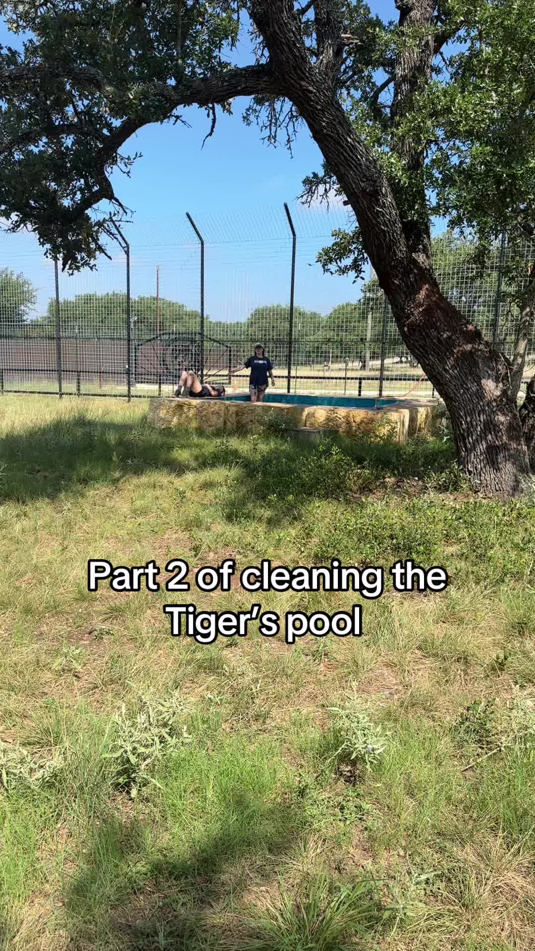 @Texas Wildlife Park