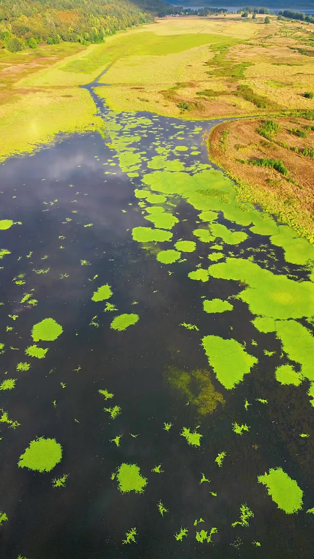 @worldvisuals | travel | drone