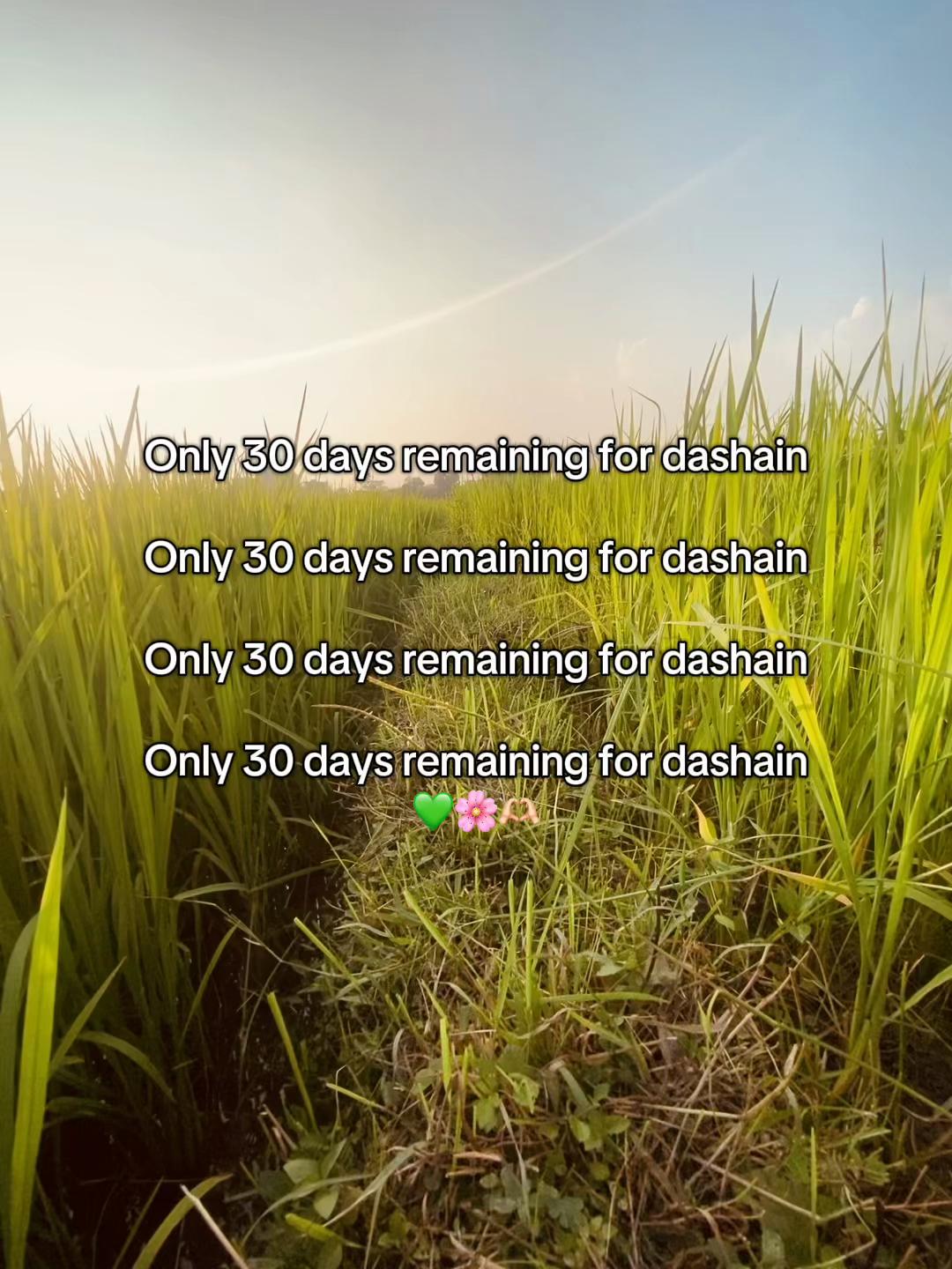 @Kawar_Honi_Feri🤘🤪