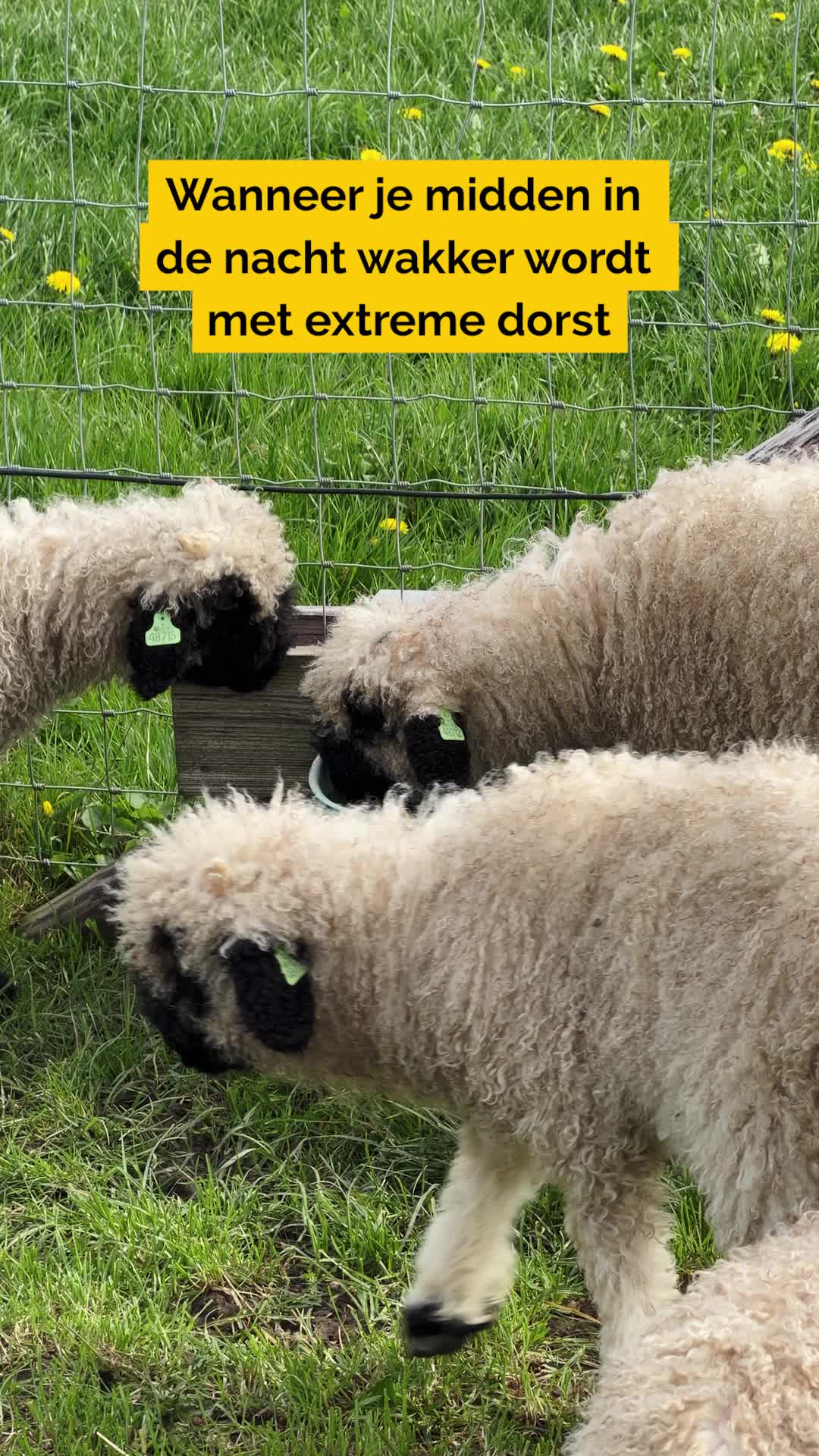 @Beter Bed NL