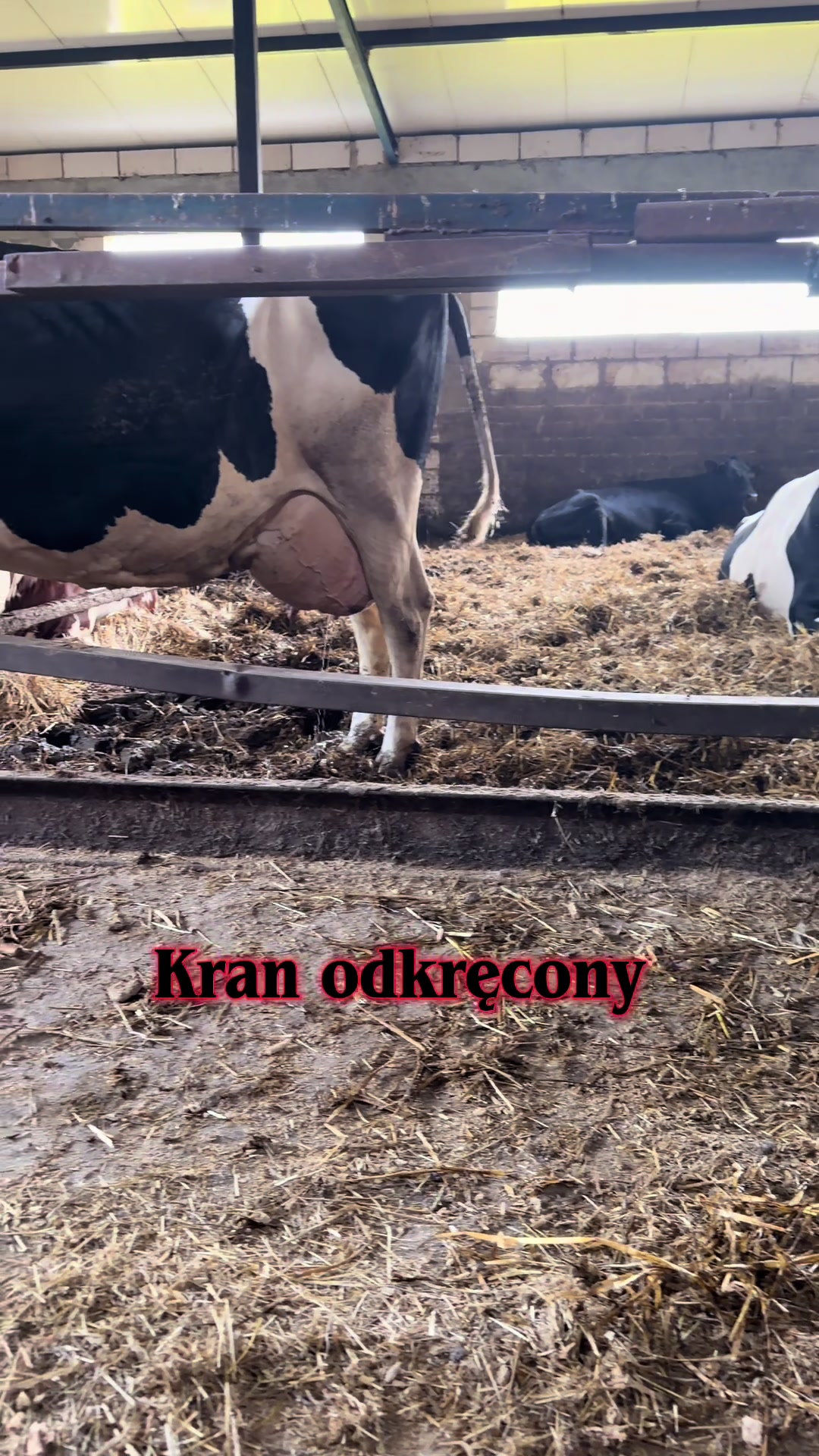 @Agro_dżAga