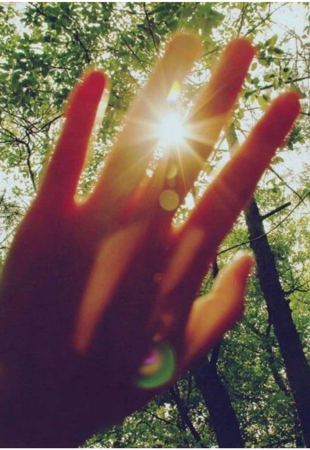 @my_ocean_sun