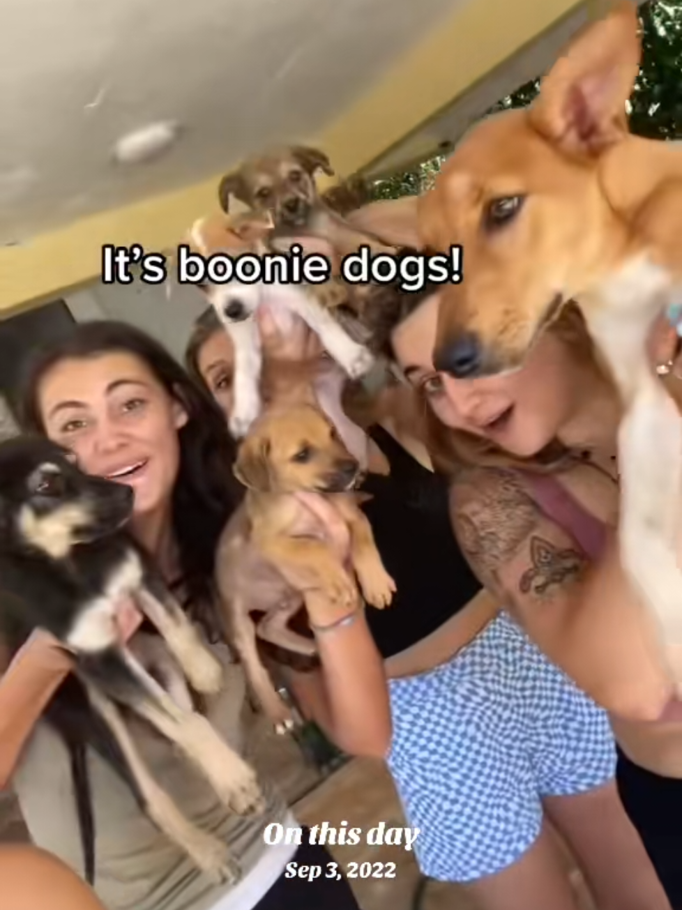 @Boonie Babies
