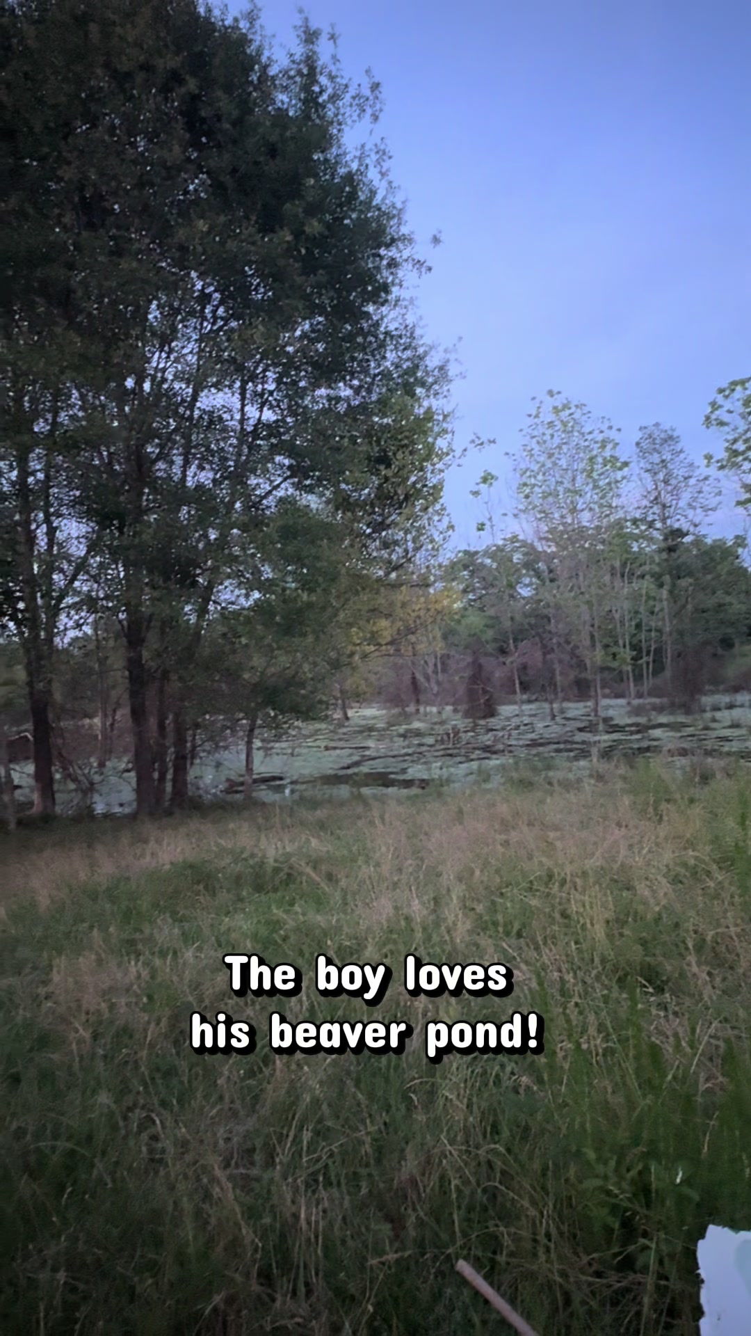 @Flat Rock Cattle Co