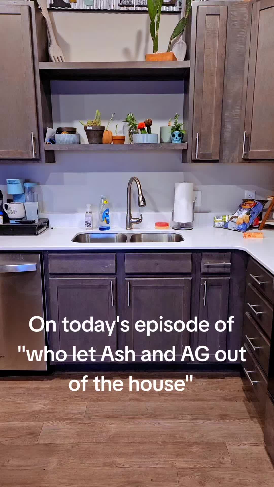 @Ash_Bash