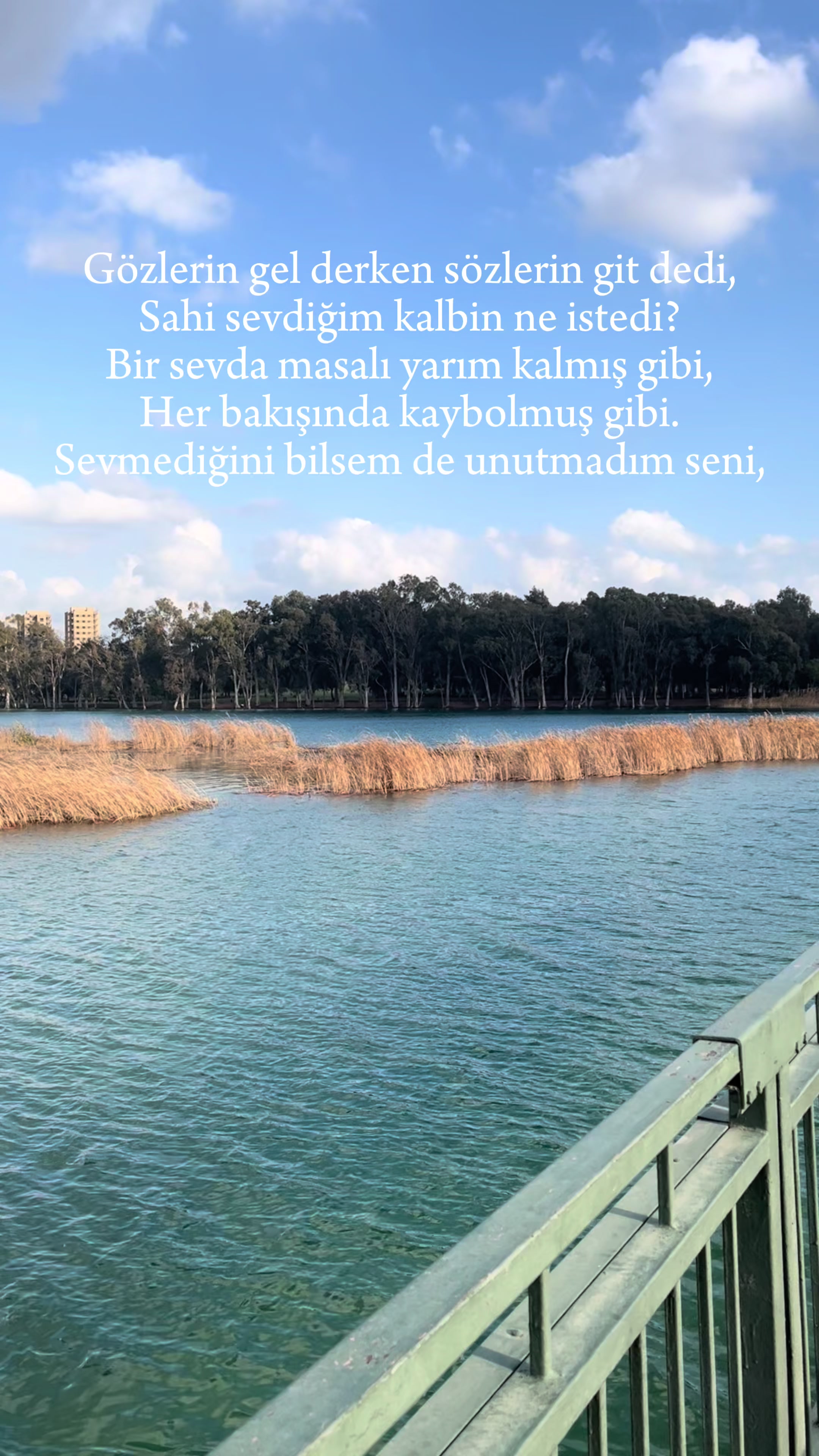 @BendimSanki