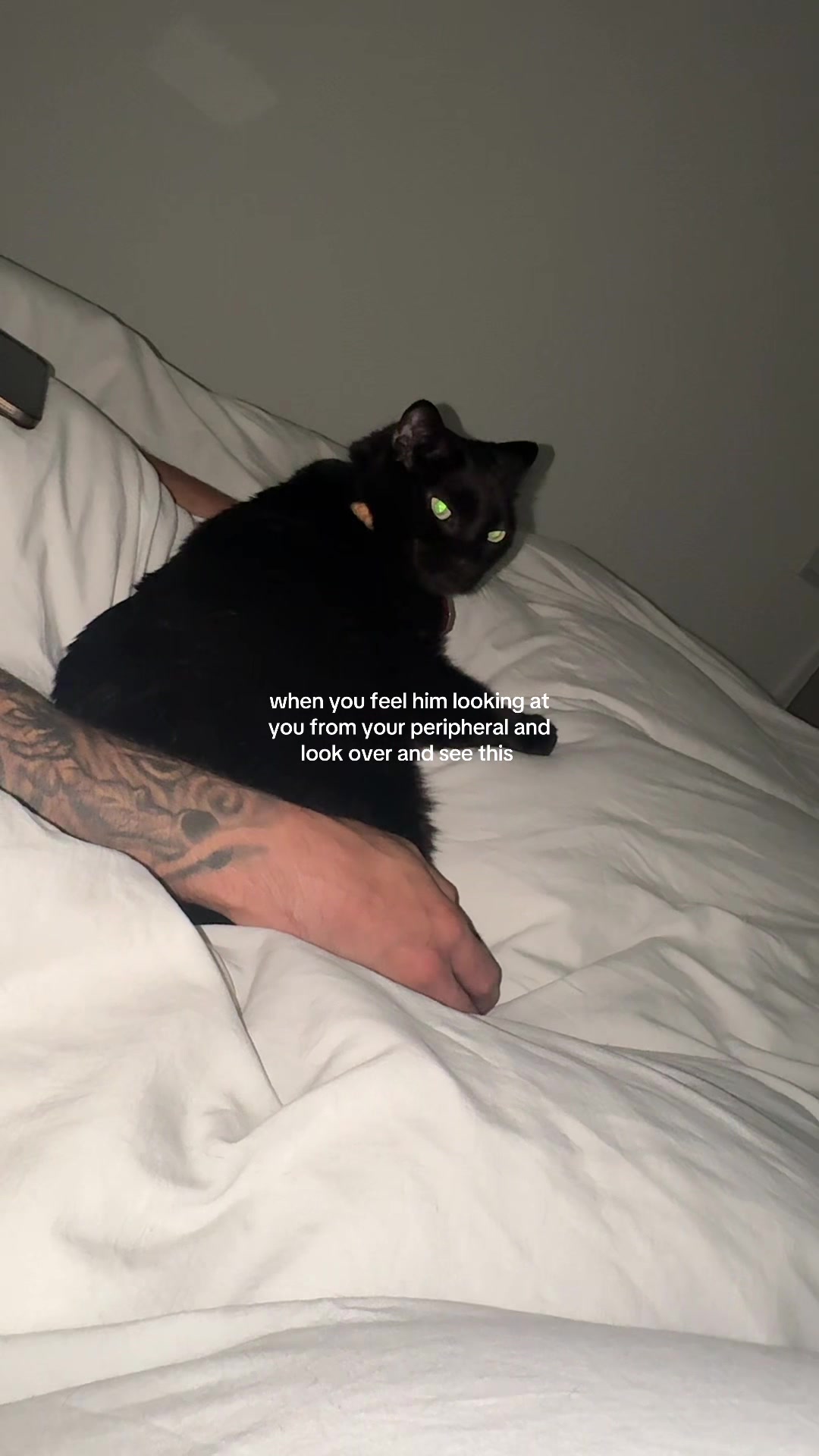 @Salem 🖤