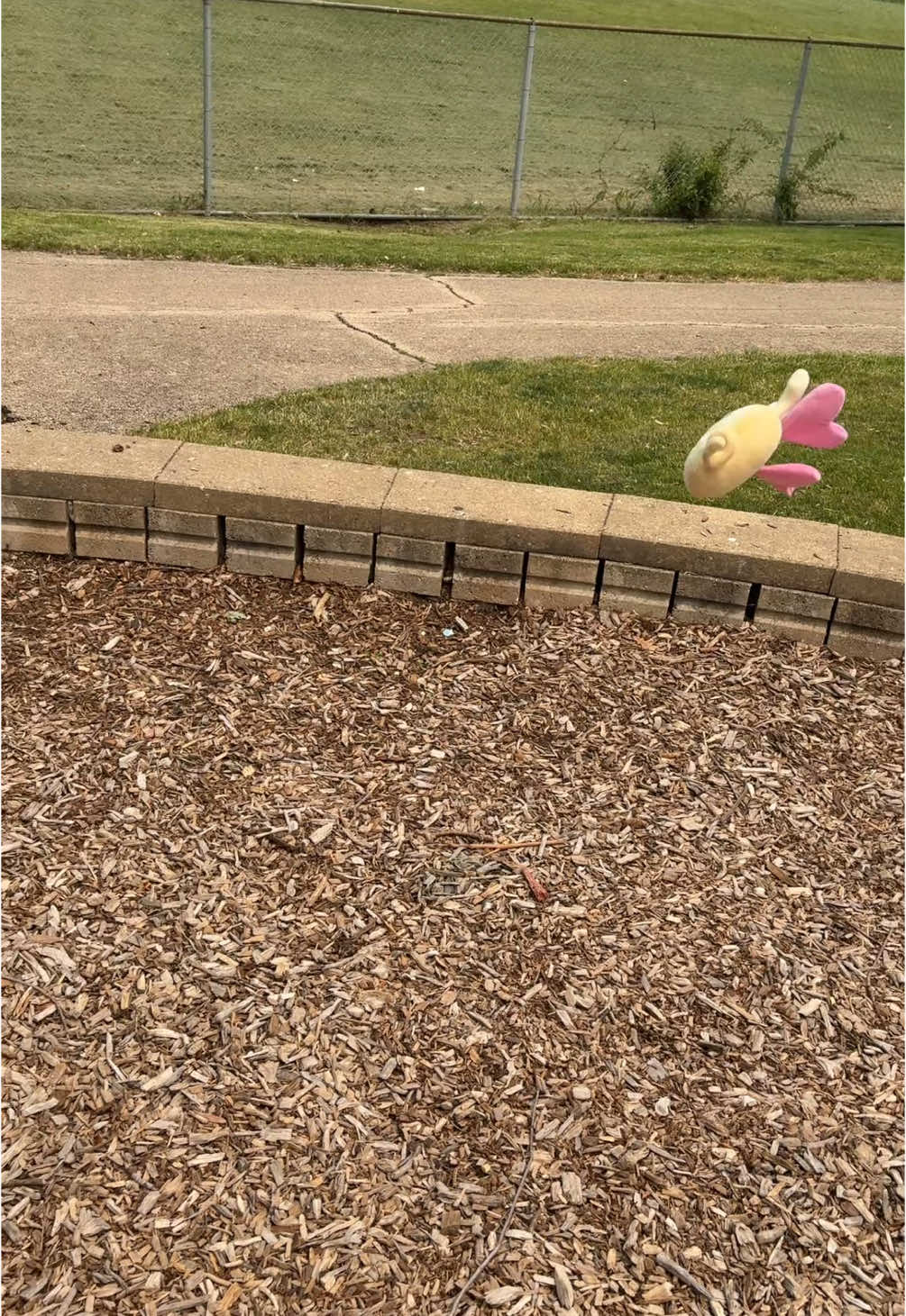 @⁺‧₊˚ ཐི⋆ℓ&chi;&eta;&eta;&sigma;&eta;⋆ཋྀ ˚₊‧⁺