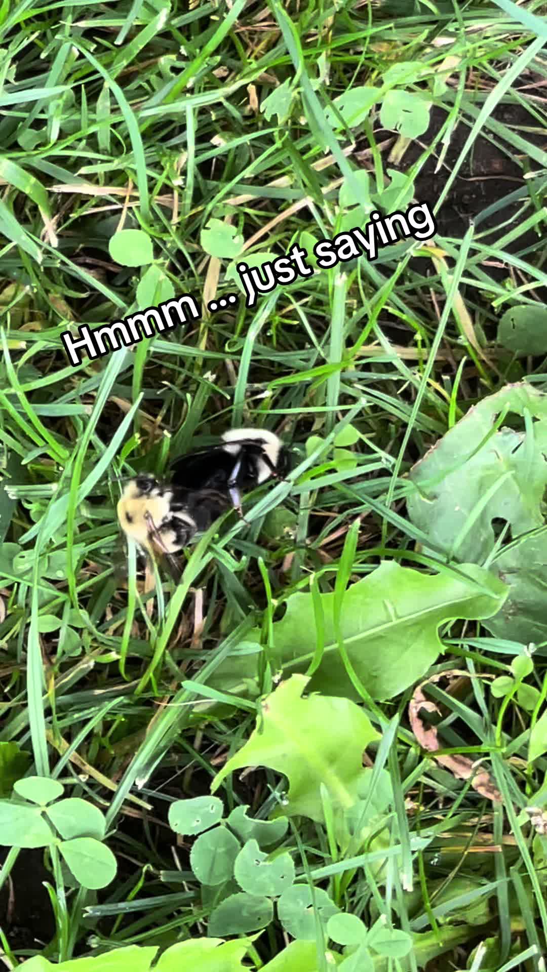 @LivingLifeinthe802