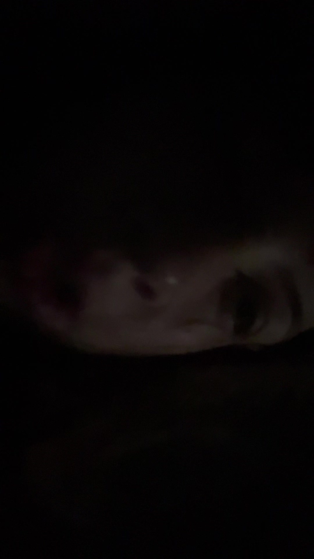 @haleigh.spamm7