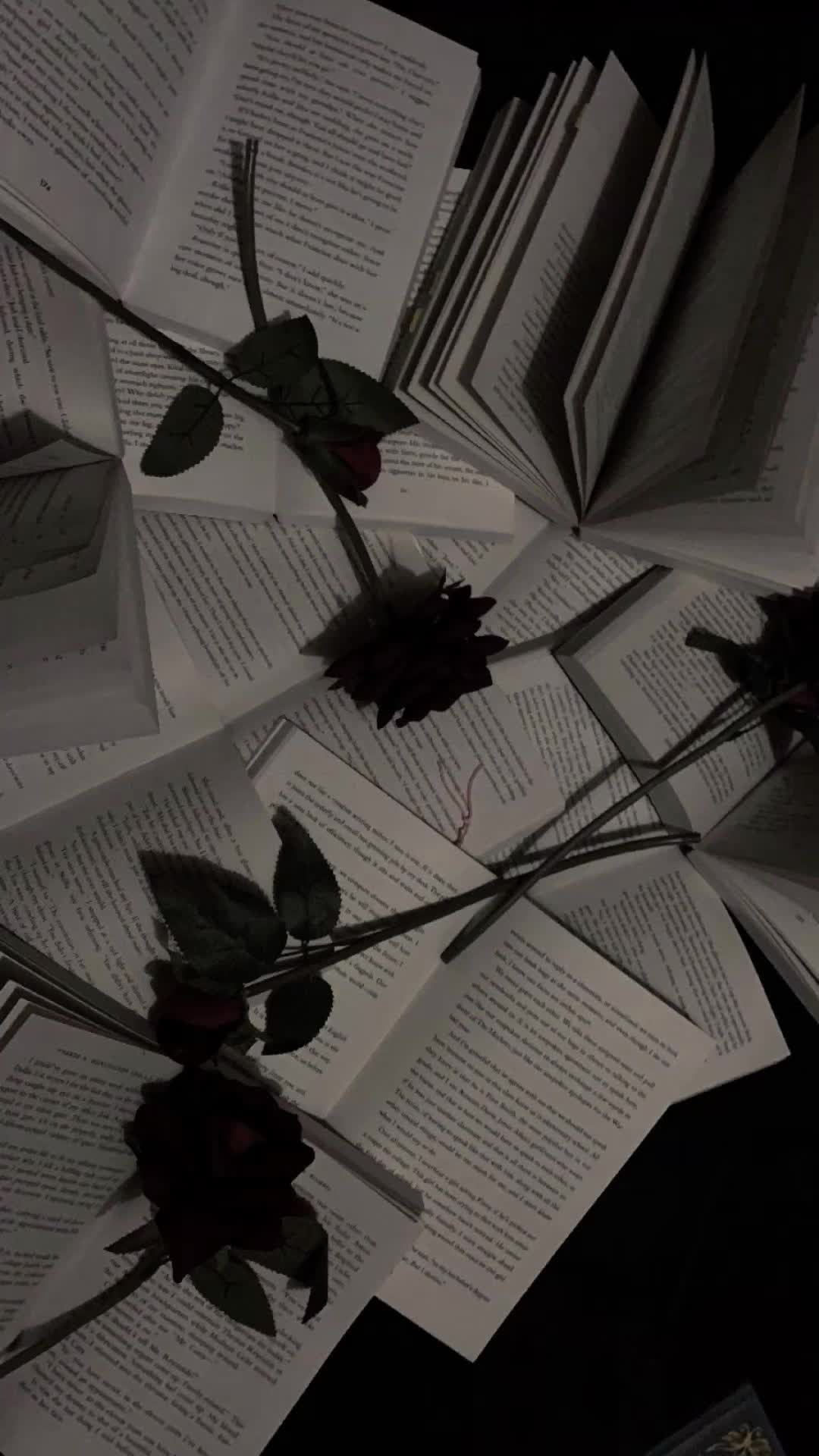 @bookgurl02๐๐๐